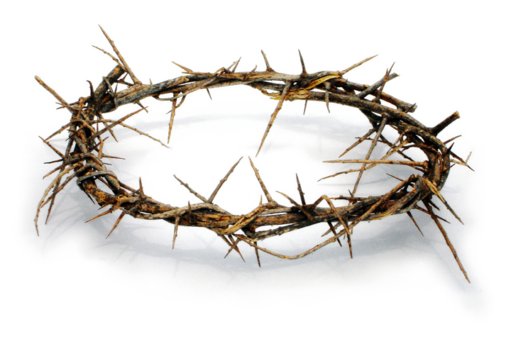 Crown-of-Thorns