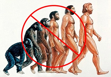 No-Evolution