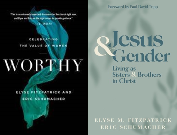 On a Journey to Women's Ordination and Beyond? - Wes Bredenhof